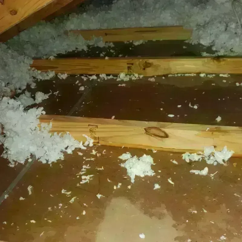 Attic Water Damage in Hidalgo County, TX